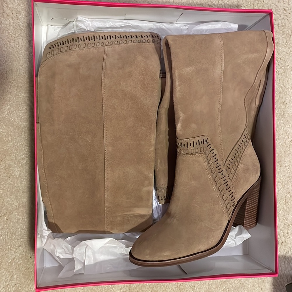 Gorgeous new, unworn Havano colored suede thigh high boots